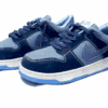 Nike SB Dunk Low Pro – Blue Multi-Ton