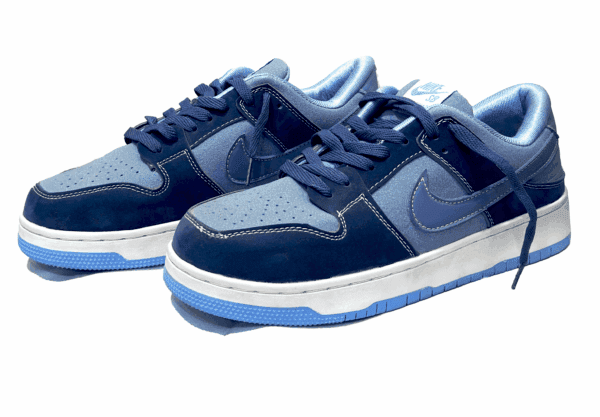 Nike SB Dunk Low Pro – Blue Multi-Ton